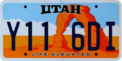 UT license plate Y116DI