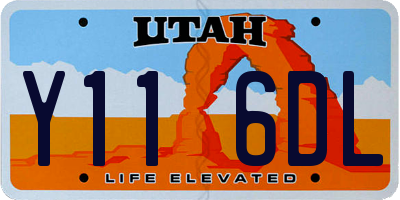 UT license plate Y116DL