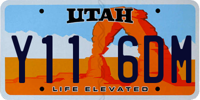 UT license plate Y116DM