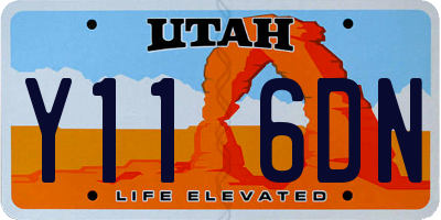 UT license plate Y116DN