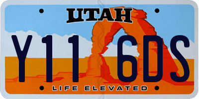 UT license plate Y116DS