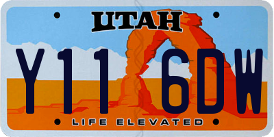 UT license plate Y116DW