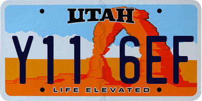 UT license plate Y116EF