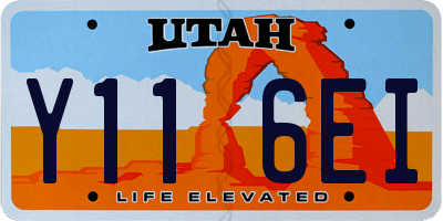 UT license plate Y116EI