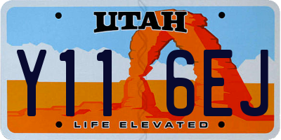 UT license plate Y116EJ