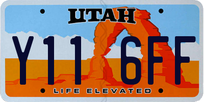 UT license plate Y116FF