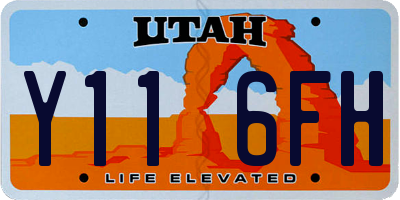 UT license plate Y116FH