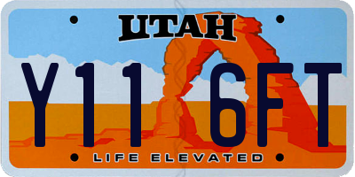 UT license plate Y116FT