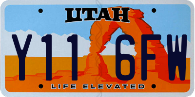 UT license plate Y116FW