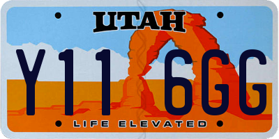 UT license plate Y116GG