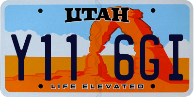 UT license plate Y116GI