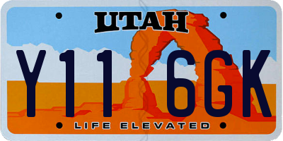 UT license plate Y116GK