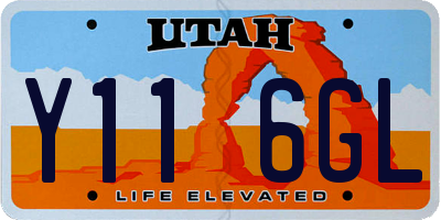 UT license plate Y116GL
