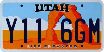 UT license plate Y116GM