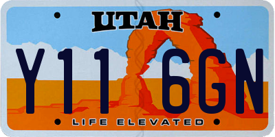 UT license plate Y116GN