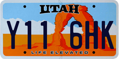 UT license plate Y116HK