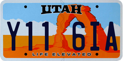 UT license plate Y116IA