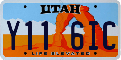 UT license plate Y116IC