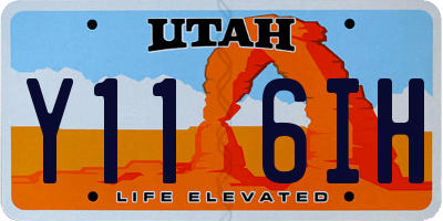 UT license plate Y116IH