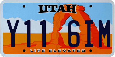 UT license plate Y116IM