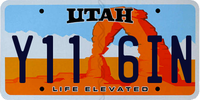 UT license plate Y116IN