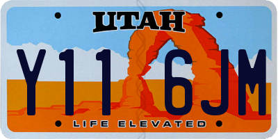 UT license plate Y116JM