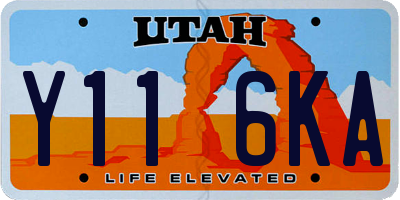 UT license plate Y116KA