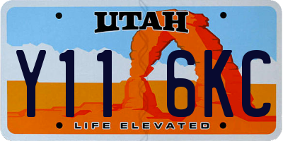 UT license plate Y116KC