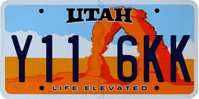 UT license plate Y116KK