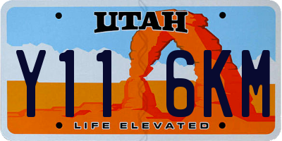 UT license plate Y116KM