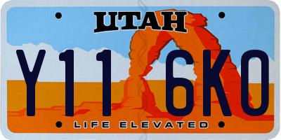 UT license plate Y116KO