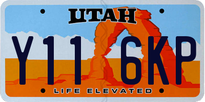 UT license plate Y116KP