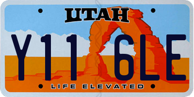 UT license plate Y116LE