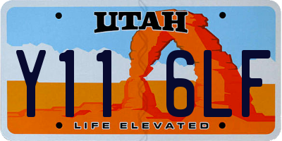 UT license plate Y116LF