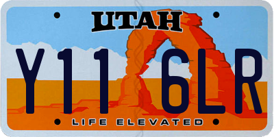 UT license plate Y116LR