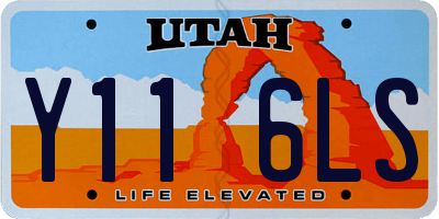 UT license plate Y116LS