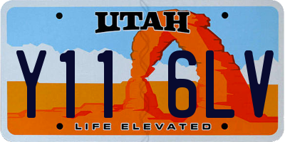 UT license plate Y116LV