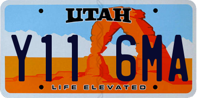 UT license plate Y116MA