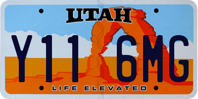UT license plate Y116MG