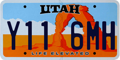 UT license plate Y116MH