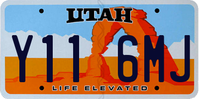 UT license plate Y116MJ