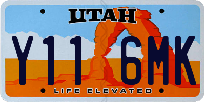UT license plate Y116MK