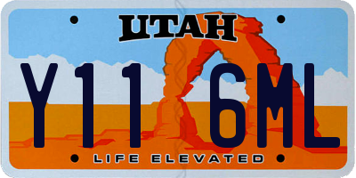 UT license plate Y116ML