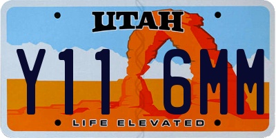 UT license plate Y116MM
