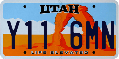 UT license plate Y116MN