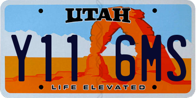 UT license plate Y116MS