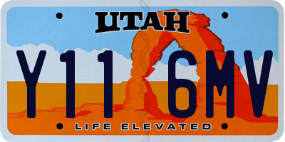 UT license plate Y116MV