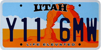UT license plate Y116MW