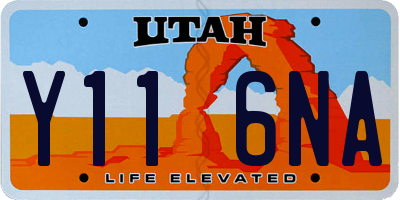 UT license plate Y116NA