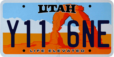 UT license plate Y116NE